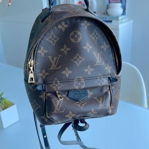LOUIS VUITTON PALM SPRINGS MINI